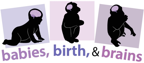 human, macaque, and chimp silouhettes