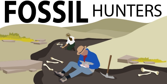 Paleontologist illustration