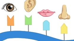 Because your DNA says so - illustration