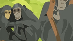 Team Primates thumbnail Illustration