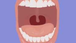 Link to Chomp Into the Past