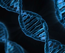 DNA model